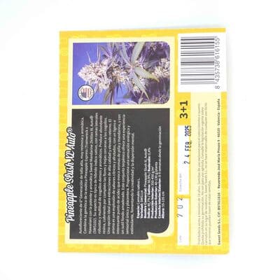 Pineapple Slush XL Auto > Sweet Seeds | Graines de cannabis auto  |  Hybride